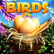 Birds Nest